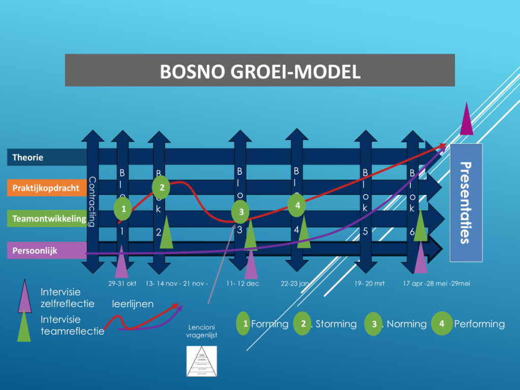 Bosno-groei-model